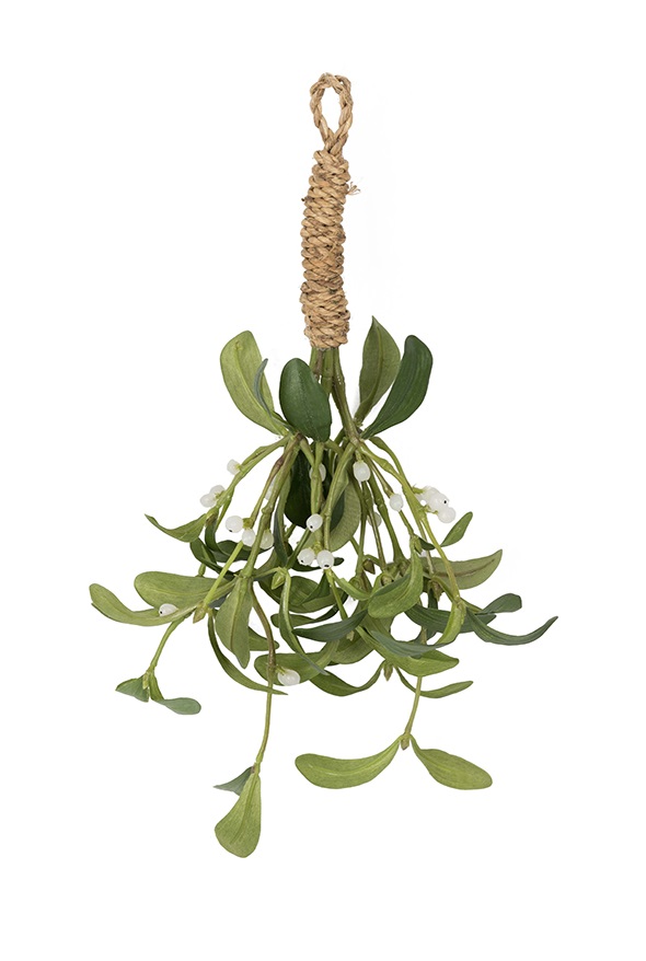 Mistletoe - 35 cm - 2