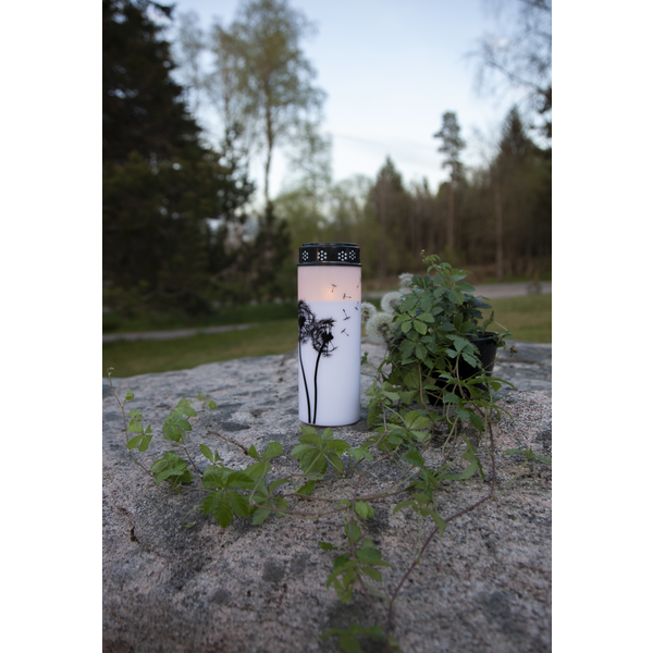 LED Grave Candle Dandelion - 3