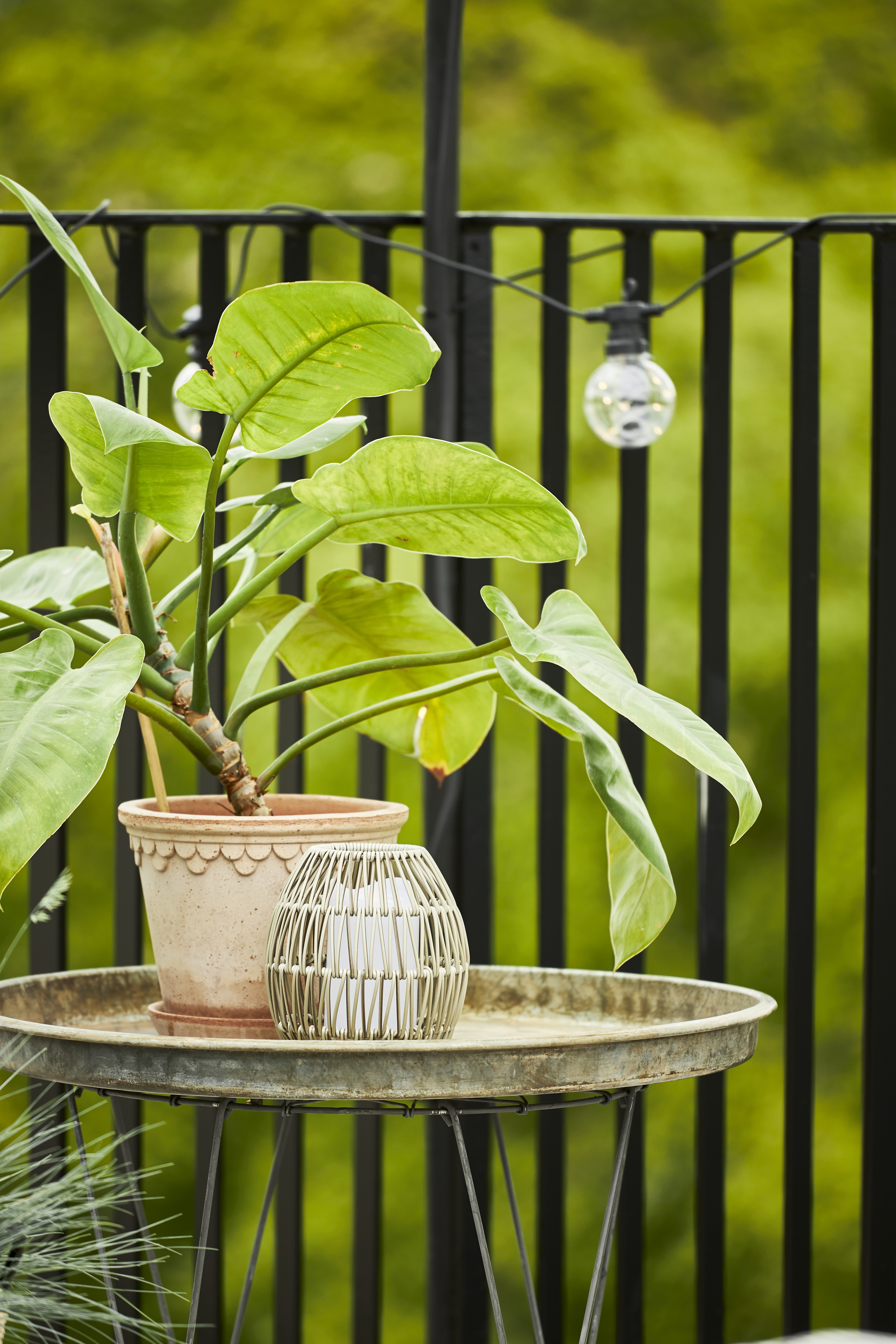 Lampshade - Synthetic rattan - 18x15 cm - 6