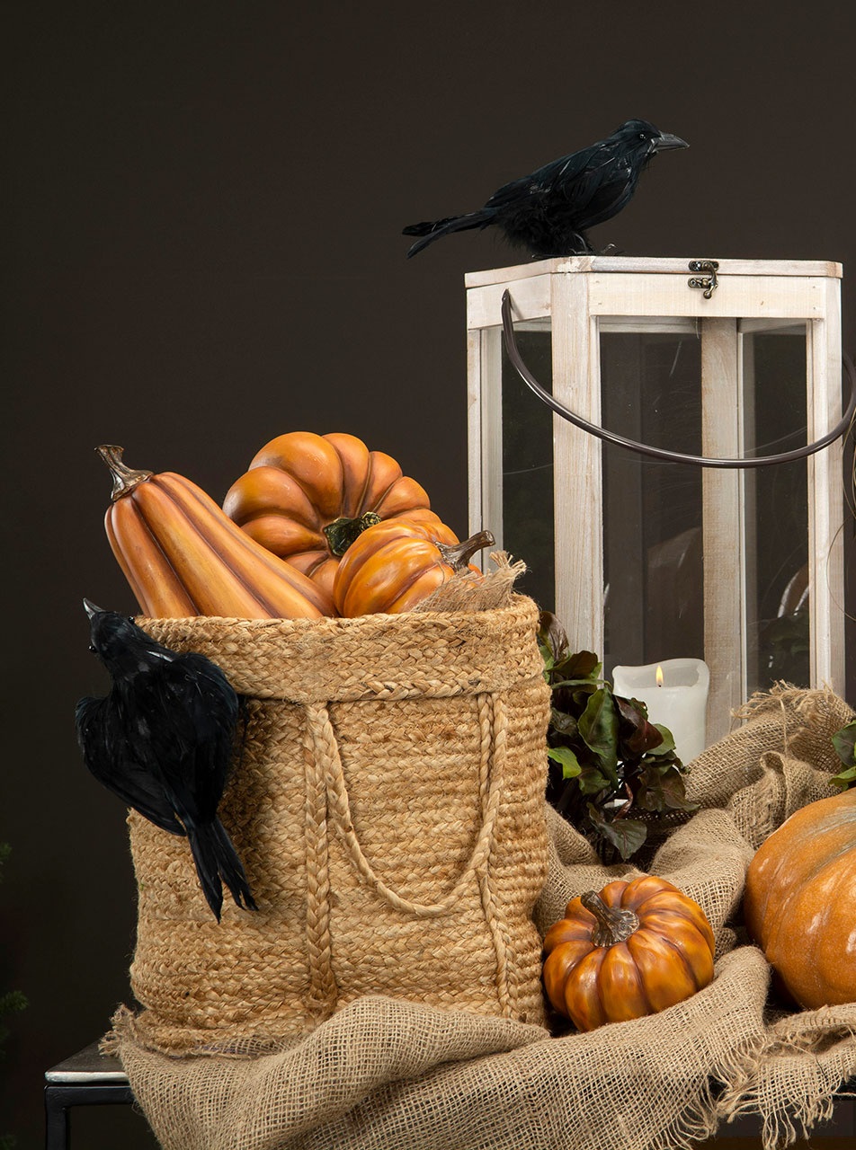 Pumpa hög - Orange - 20 cm - 5
