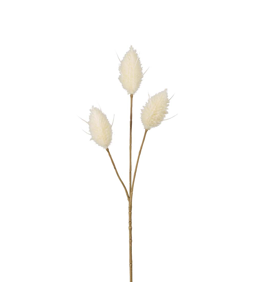 Harsvans - Kvist - 35 cm - Beige - 3