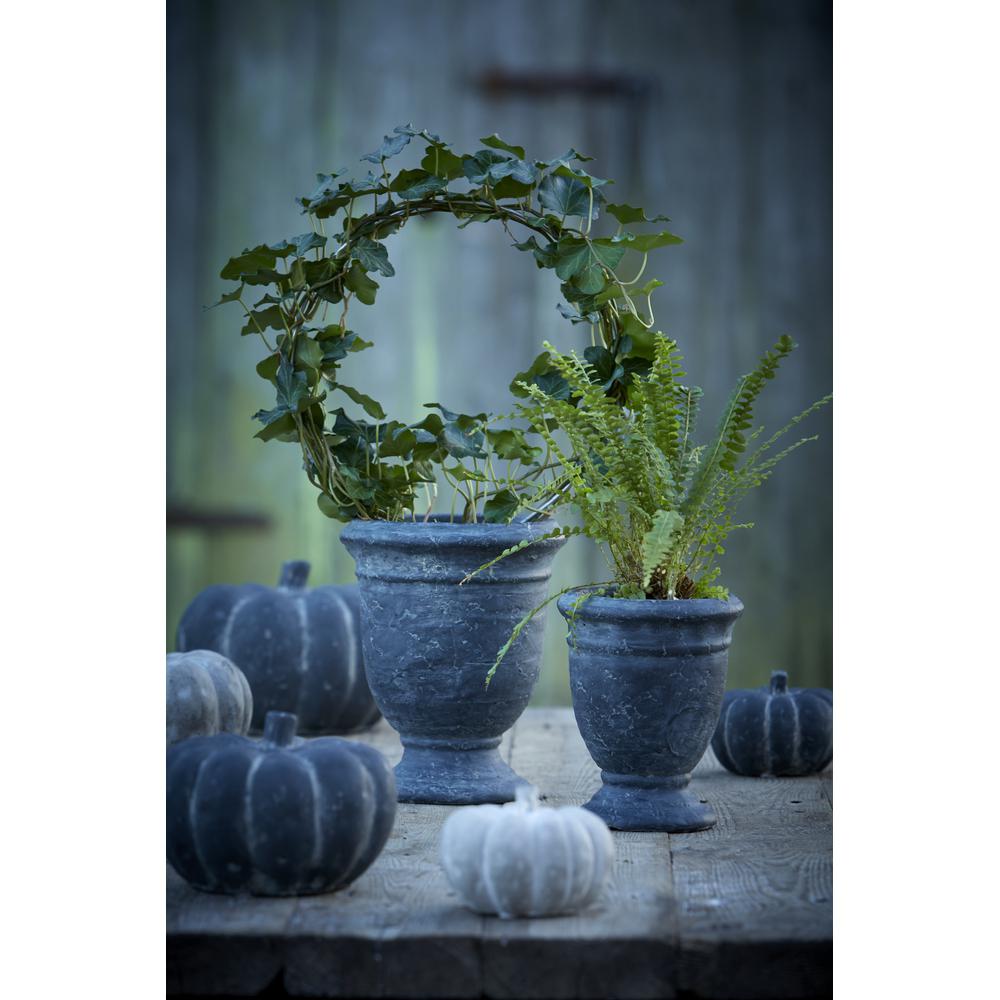 Pumpkin - Dark grey - Concrete - 3