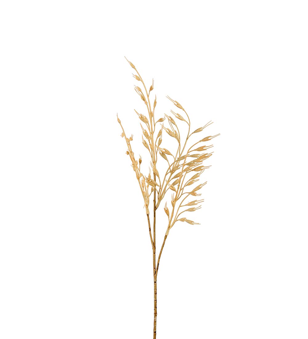 Grass - Grass stalk - 65 cm - Beige - 2