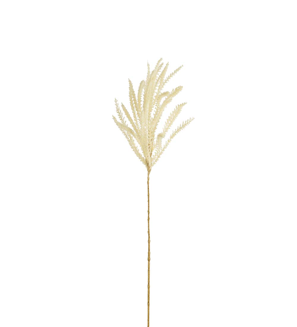 Gräs - 90 cm - Beige - 2