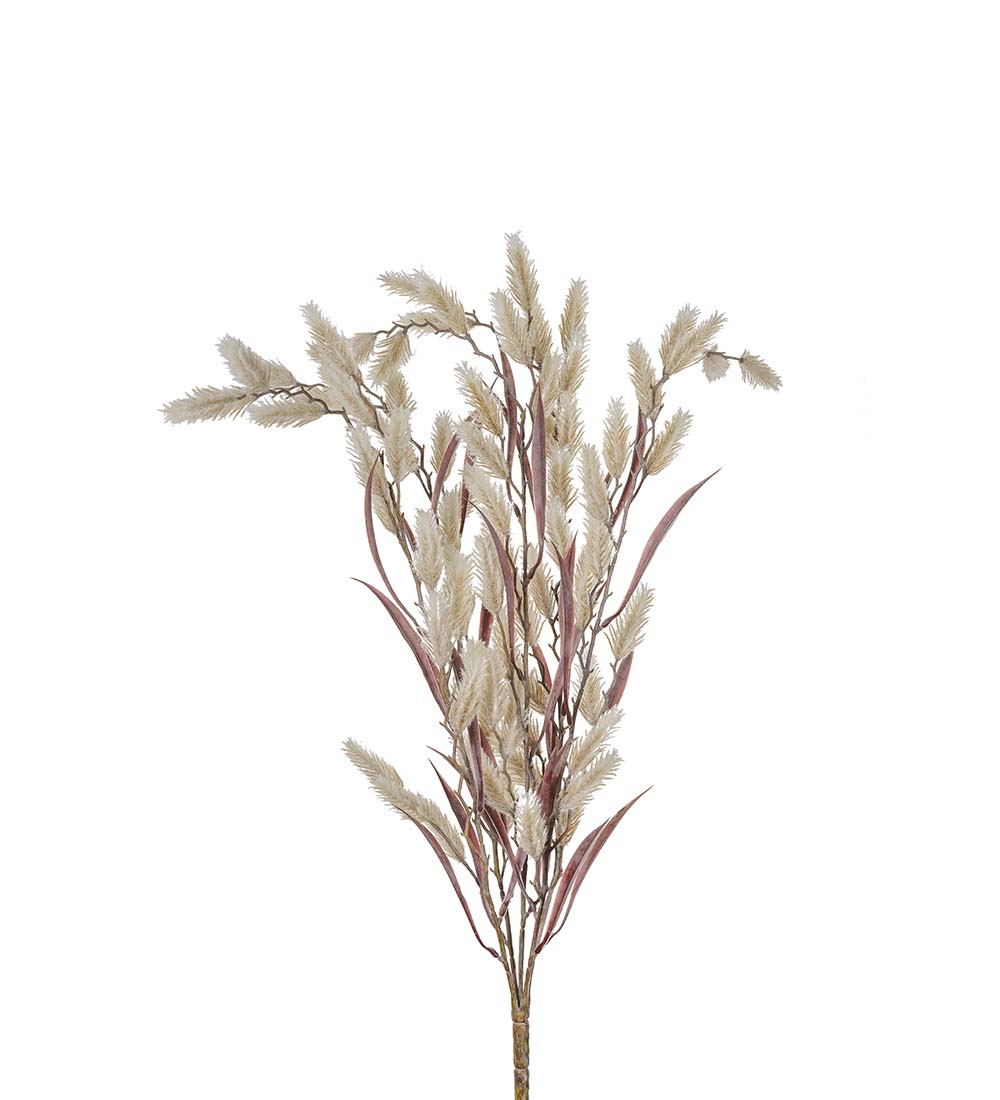 Grass - Twig - 50 cm - Beige - 2