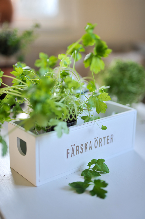 Wooden box - Fresh herbs - Herb box - White - 27 cm