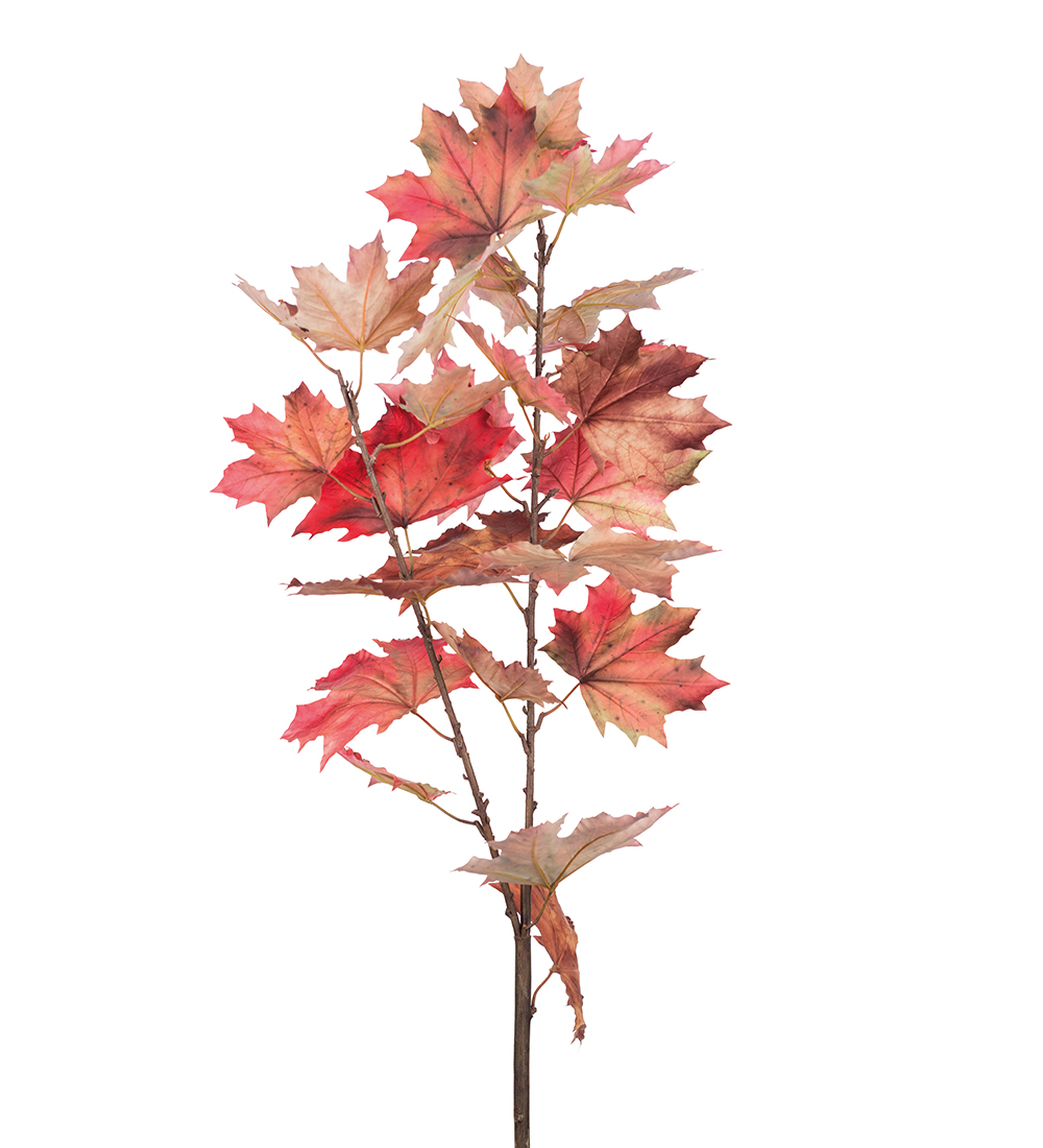 Maple twig - Maple - Twig/Branch - 140 cm - Multicoloured - 2