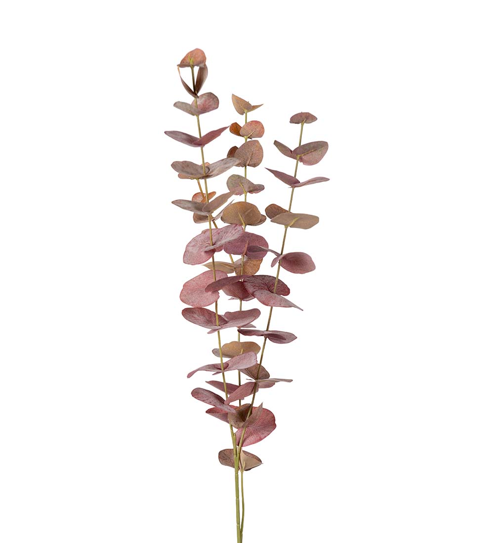 Eucalyptus - Burgundy - 60 cm - 2