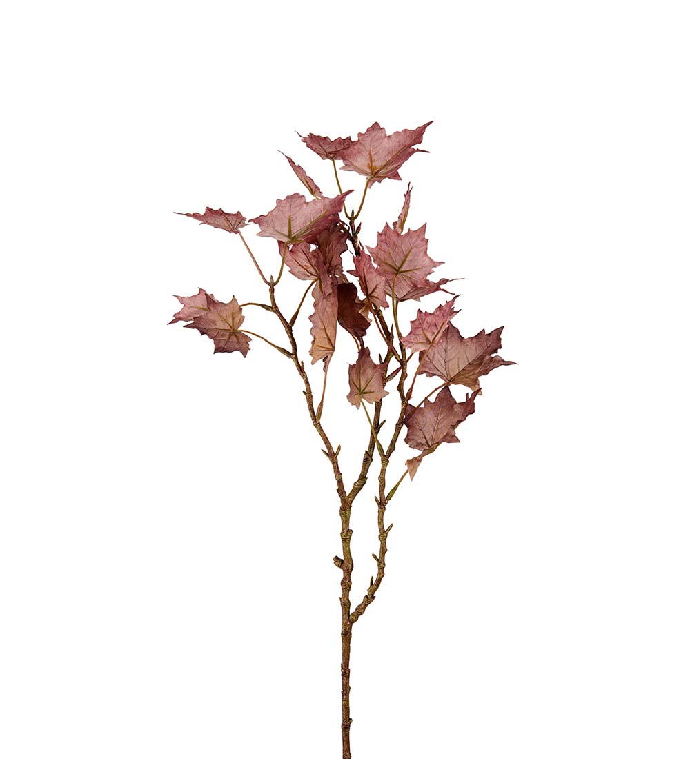 Lönnkvist - Lönn - Kvist/Gren - 70 cm - Burgundy - 2