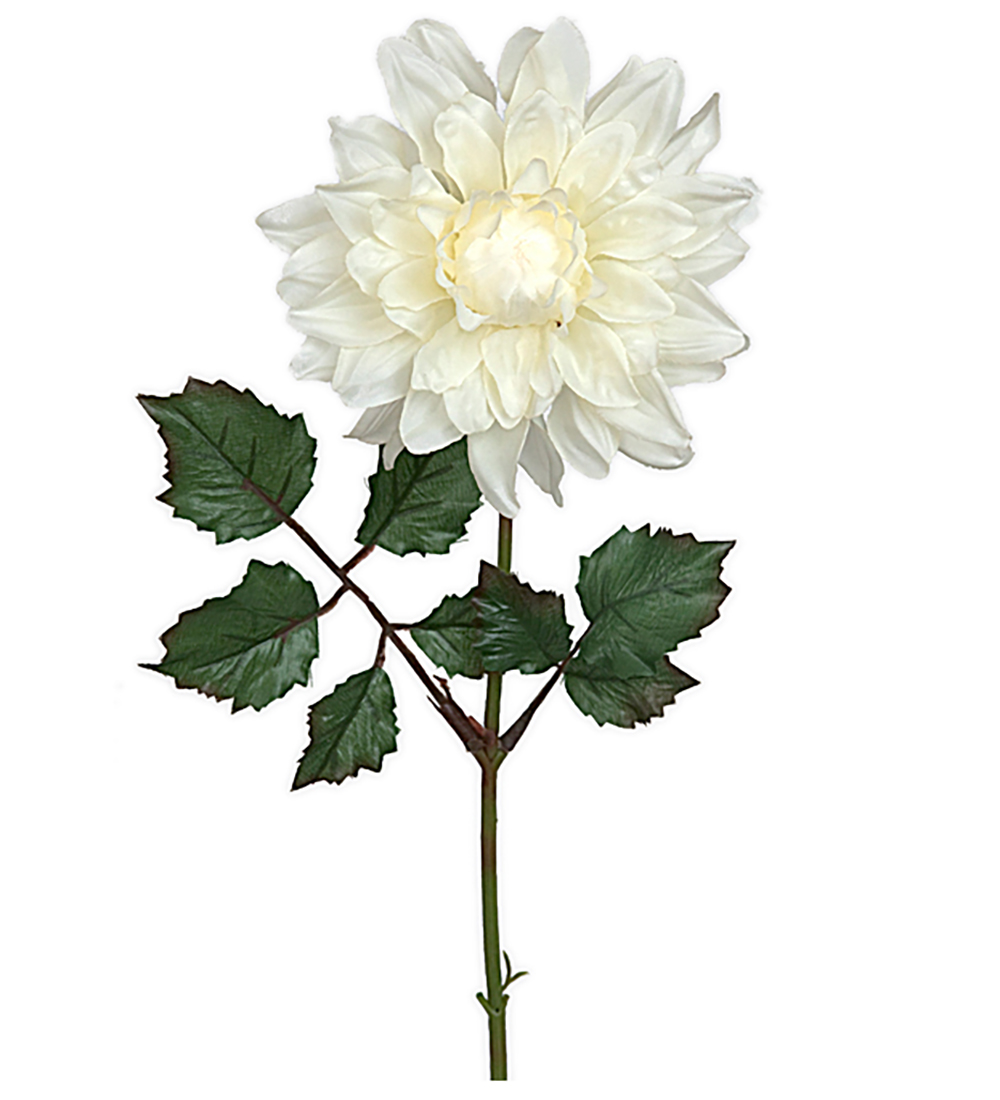 Dahlia Kvist 45 cm - Vit - 2