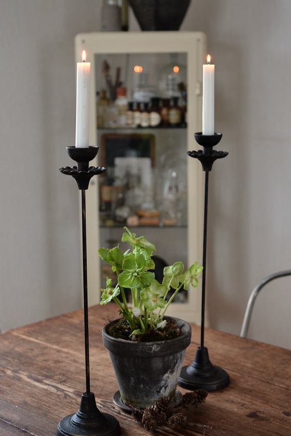 LJUSSTAKE SVART/BRONS - GERBERA 53 CM - 2