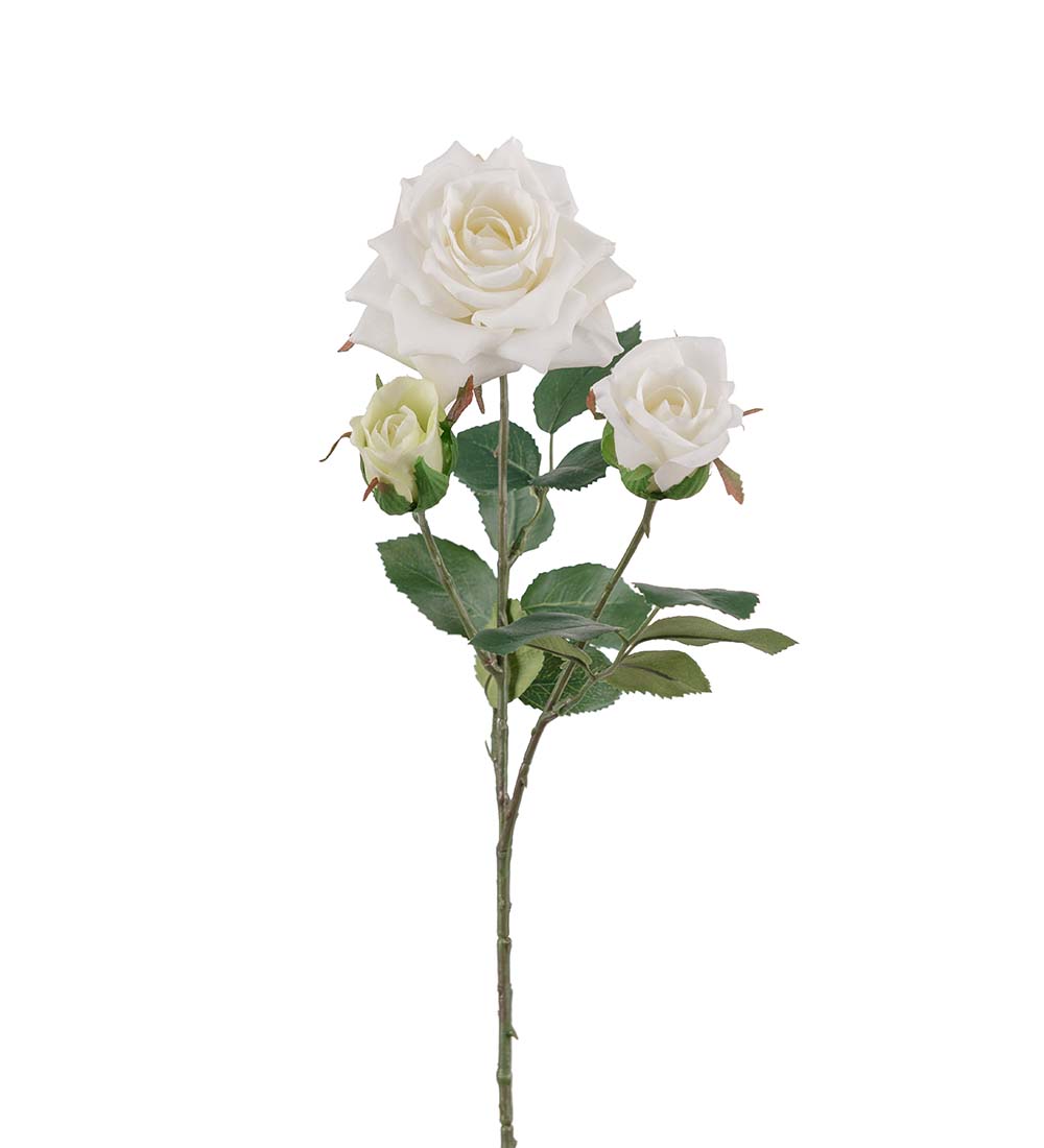 Ros - 55 cm - Vit - 4