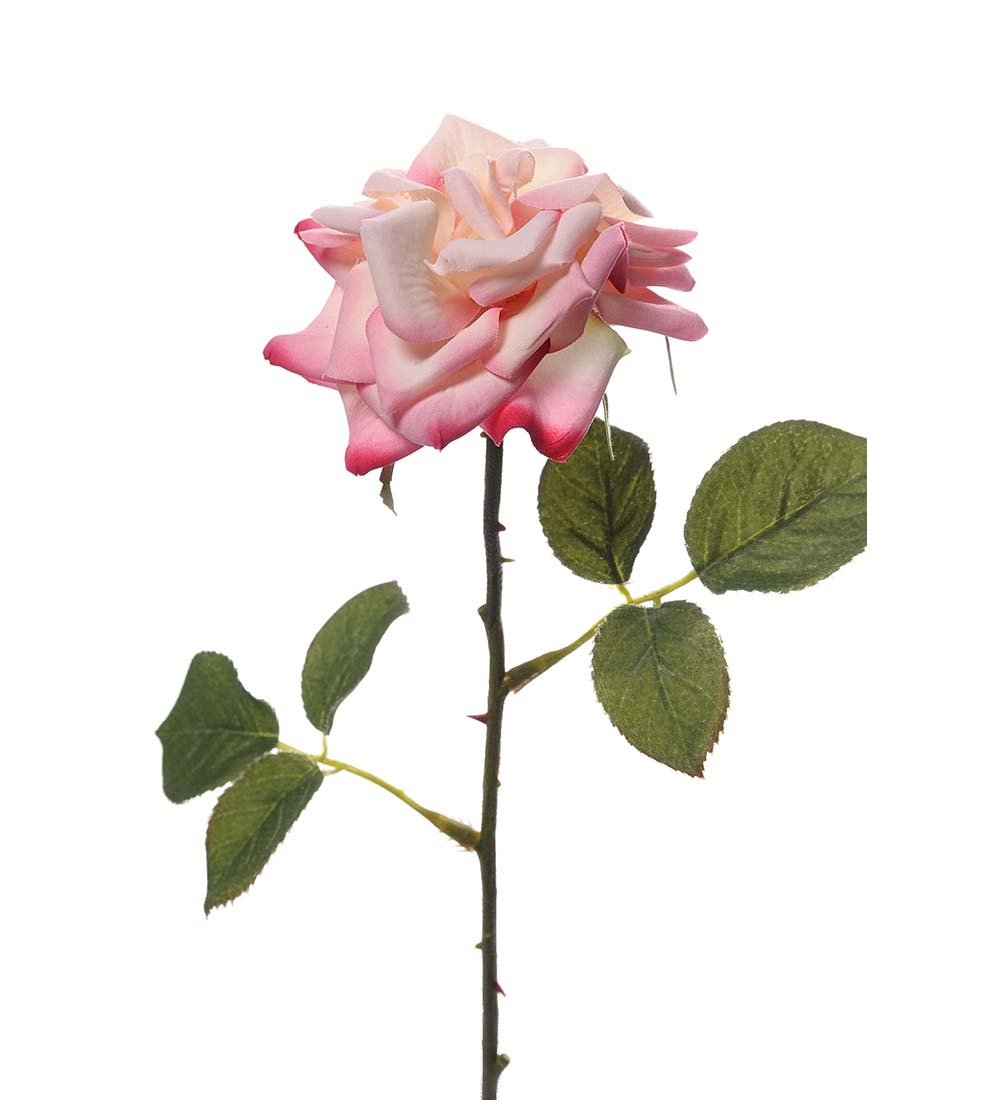 Ros - 33 cm - Rosa - 3
