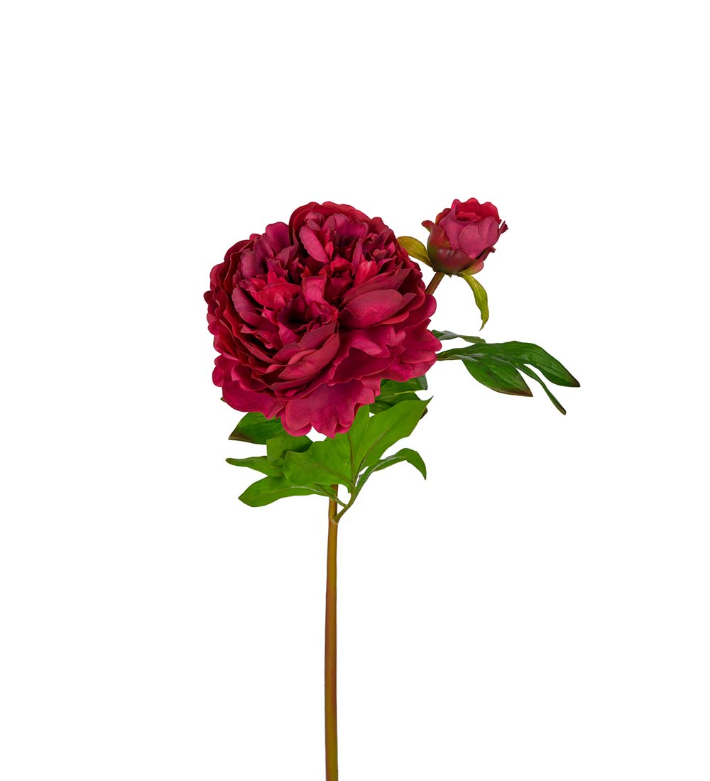 Peony - Burgundy - Peony branch - 65 cm - 2