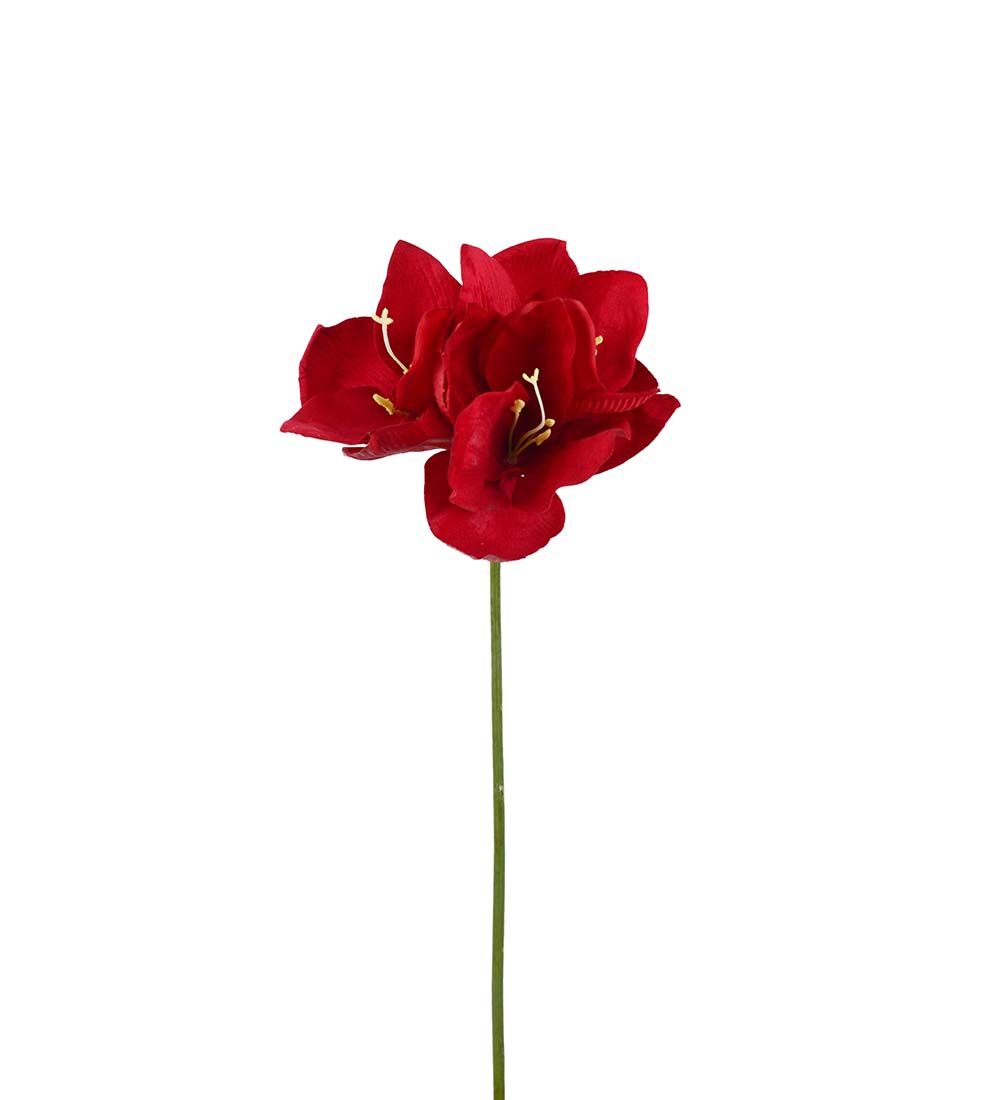 Amaryllis - Röd - 63 cm - 2