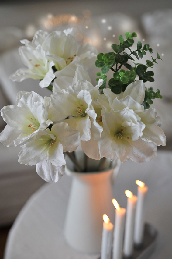 Amaryllis - Vit - 60 cm - 7