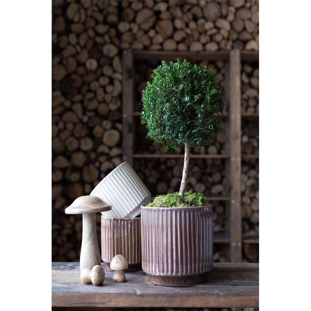 Mushroom - Natural - Mango wood - 2-pack - 2