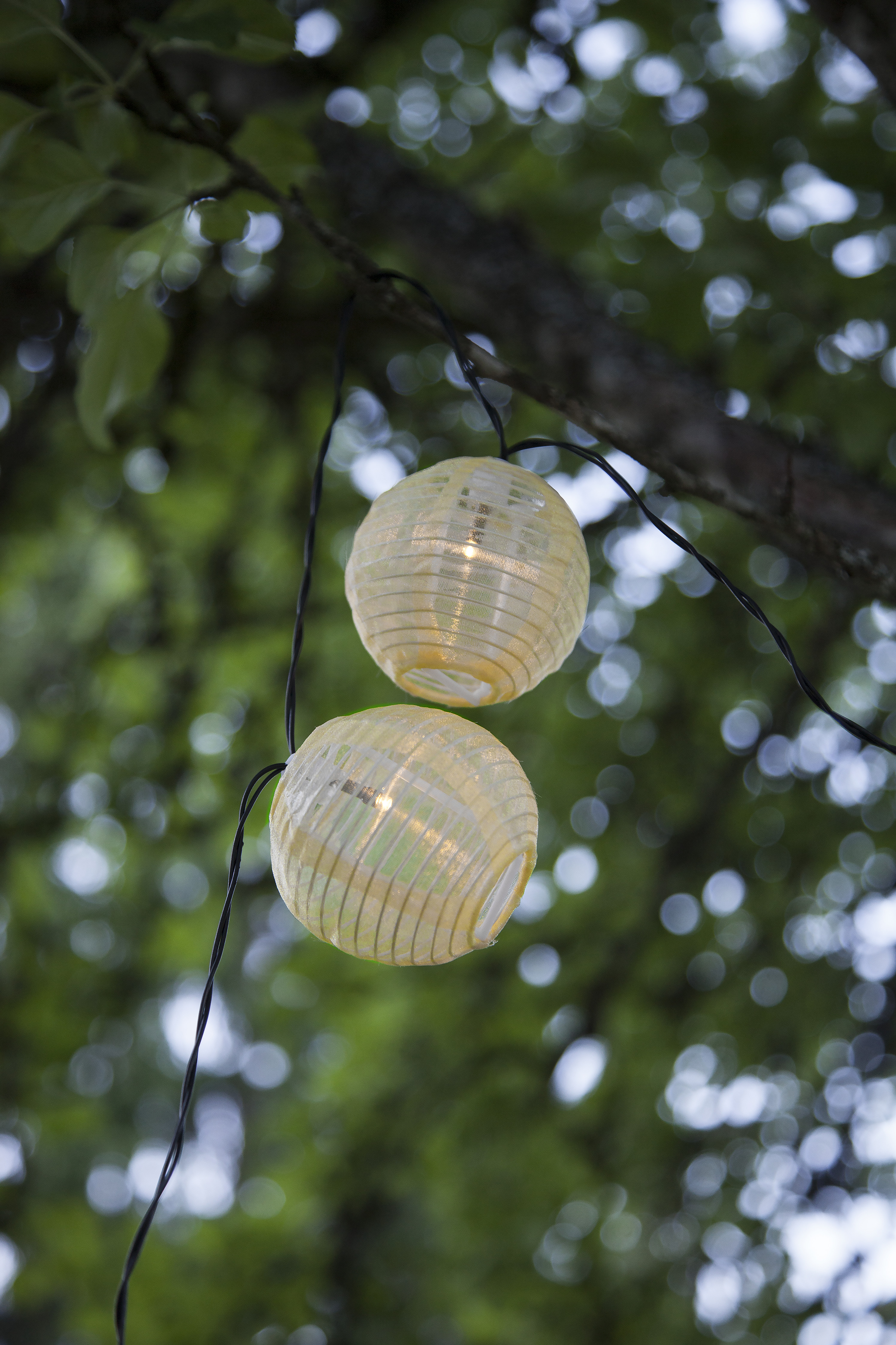 Solar light string - Solar light string - Gold beige - 4