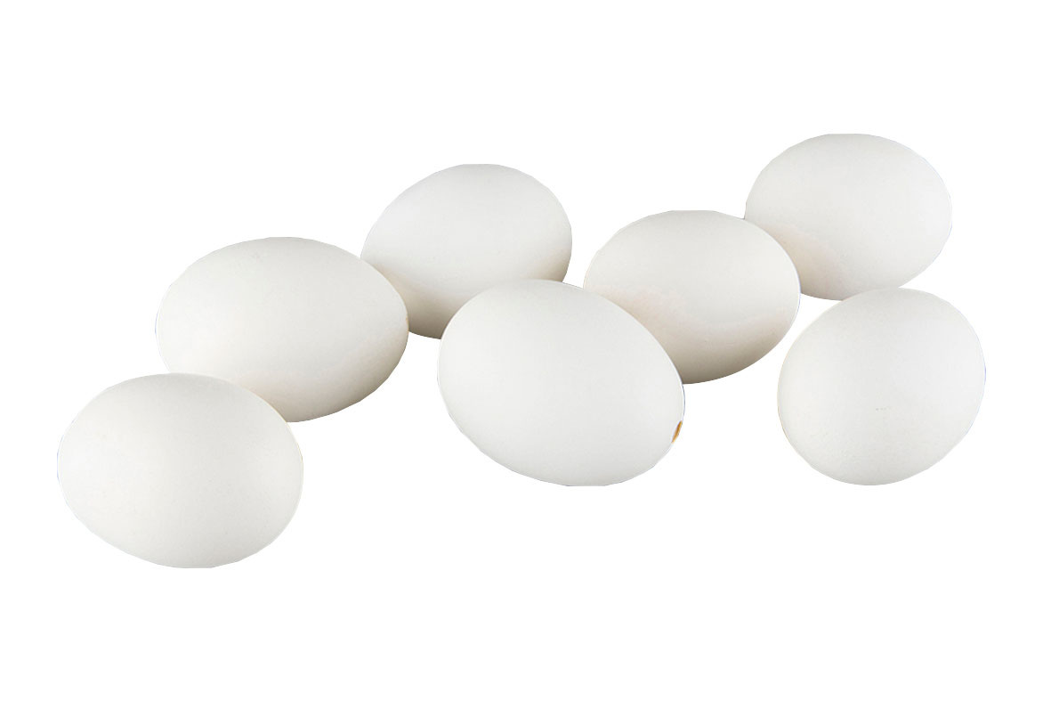 Hönsägg - Påskägg - Vit  - 5
