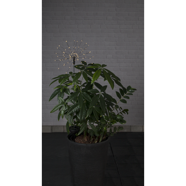 Firework solar decoration Solar lighting - 4