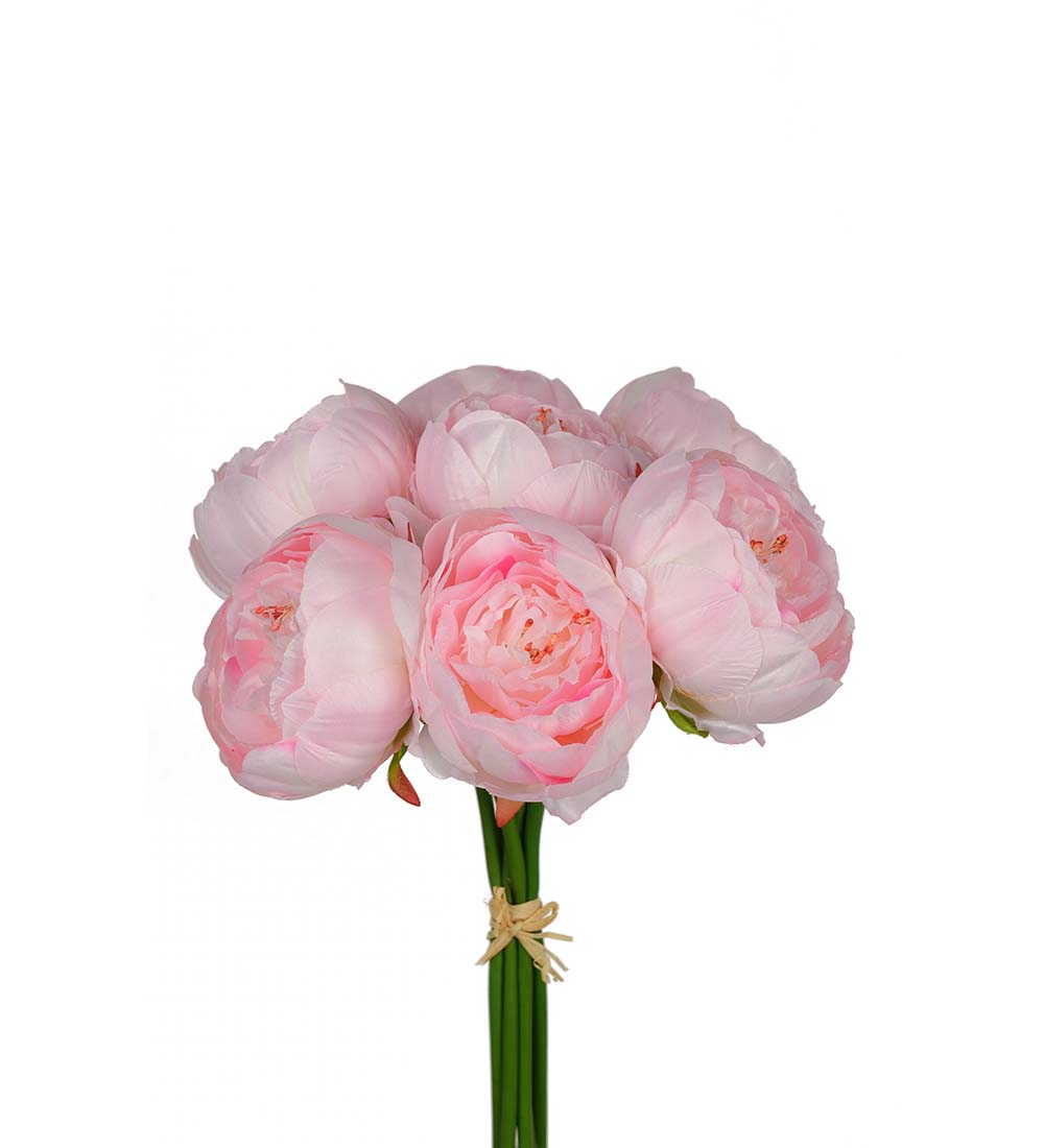 Pion - Bukett - Pionbukett - 30 cm - Ljusrosa - 3