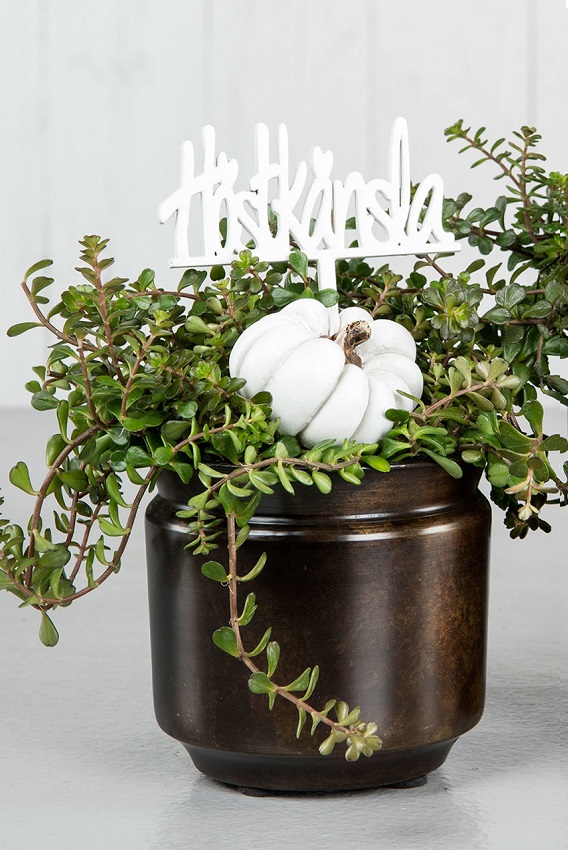 PUMPKIN STICK ANTIQUE WHITE 2-PACK - 2