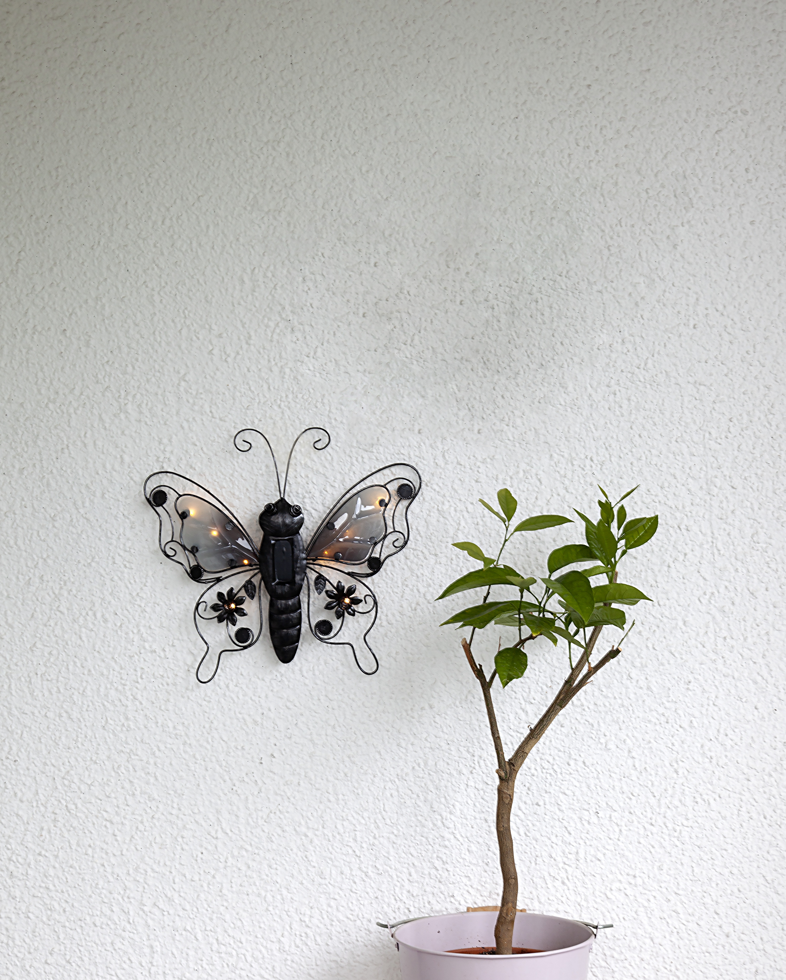 Solar-powered decoration Butterfly - Solar-powered lighting - 1 piece - 3