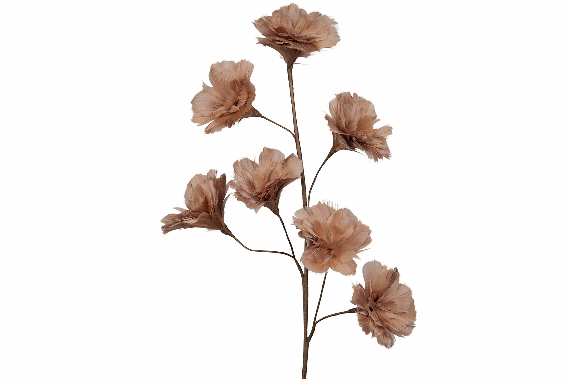 Branch Feather Flower - Mole - 100 cm - 4