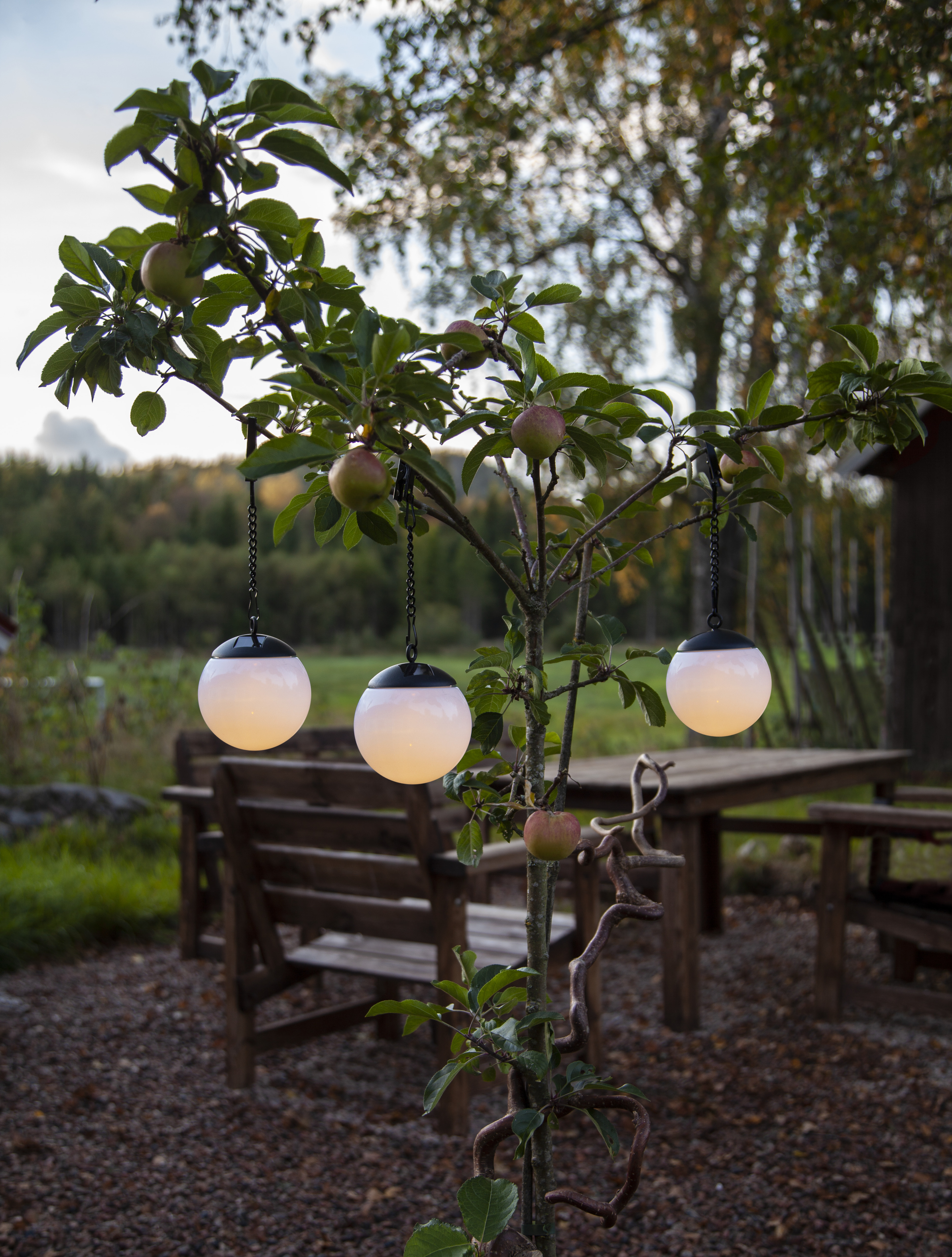 Solar cell decoration - Solar cell lighting - Lamp - 1 Globe - 2
