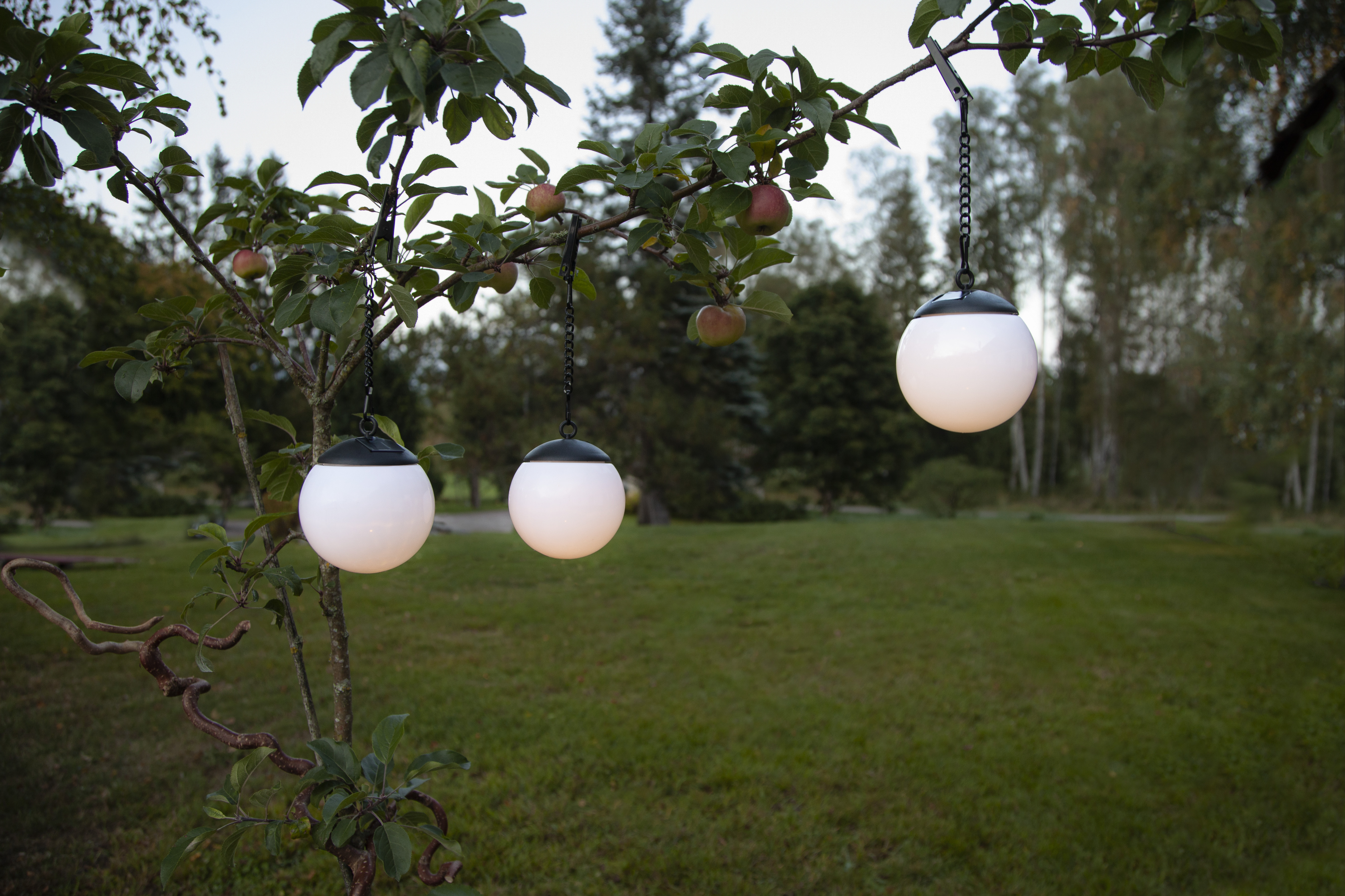 Solar cell decoration - Solar cell lighting - Lamp - 1 Globe - 14