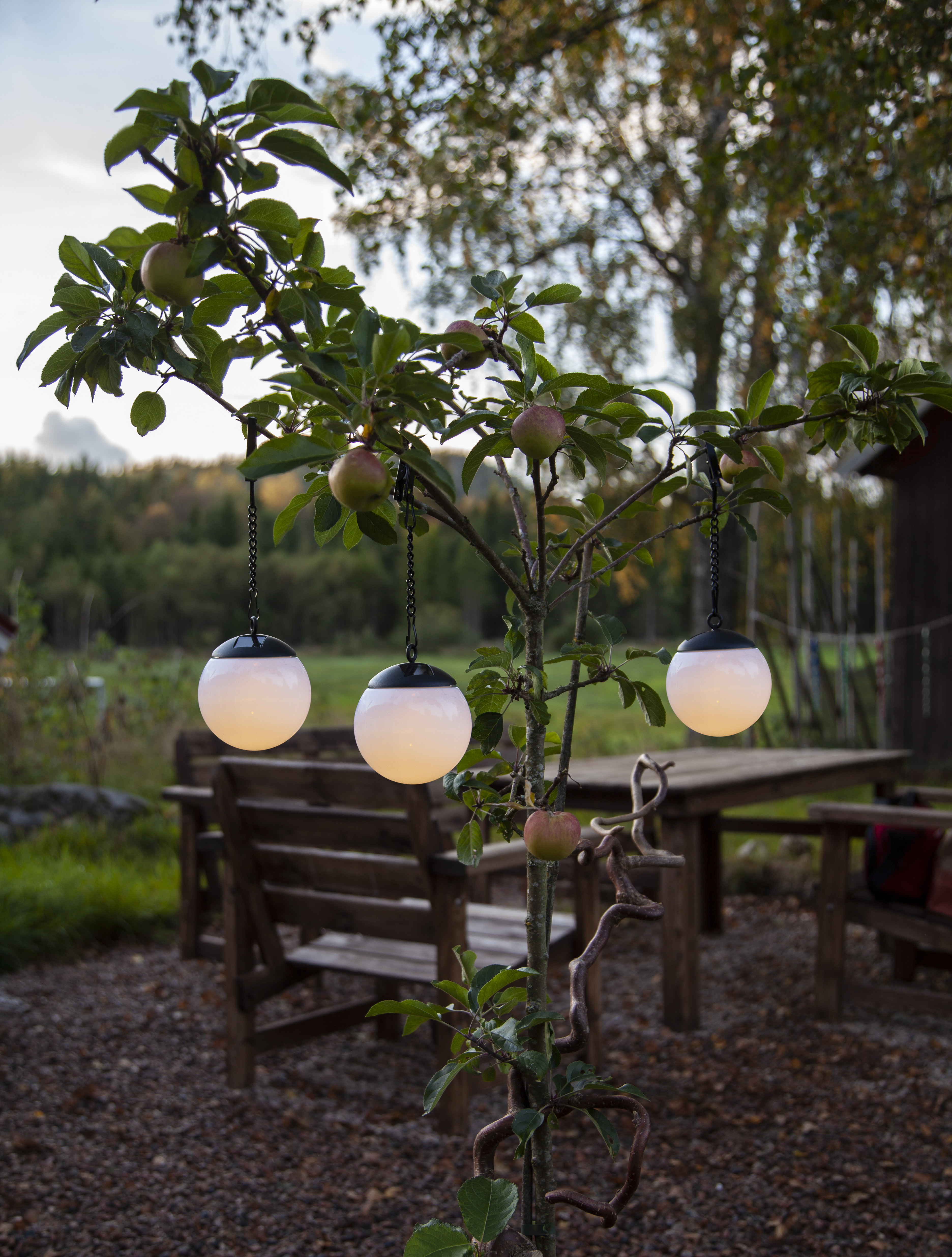 Solar cell decoration - Solar cell lighting - Lamp - 1 Globe - 10