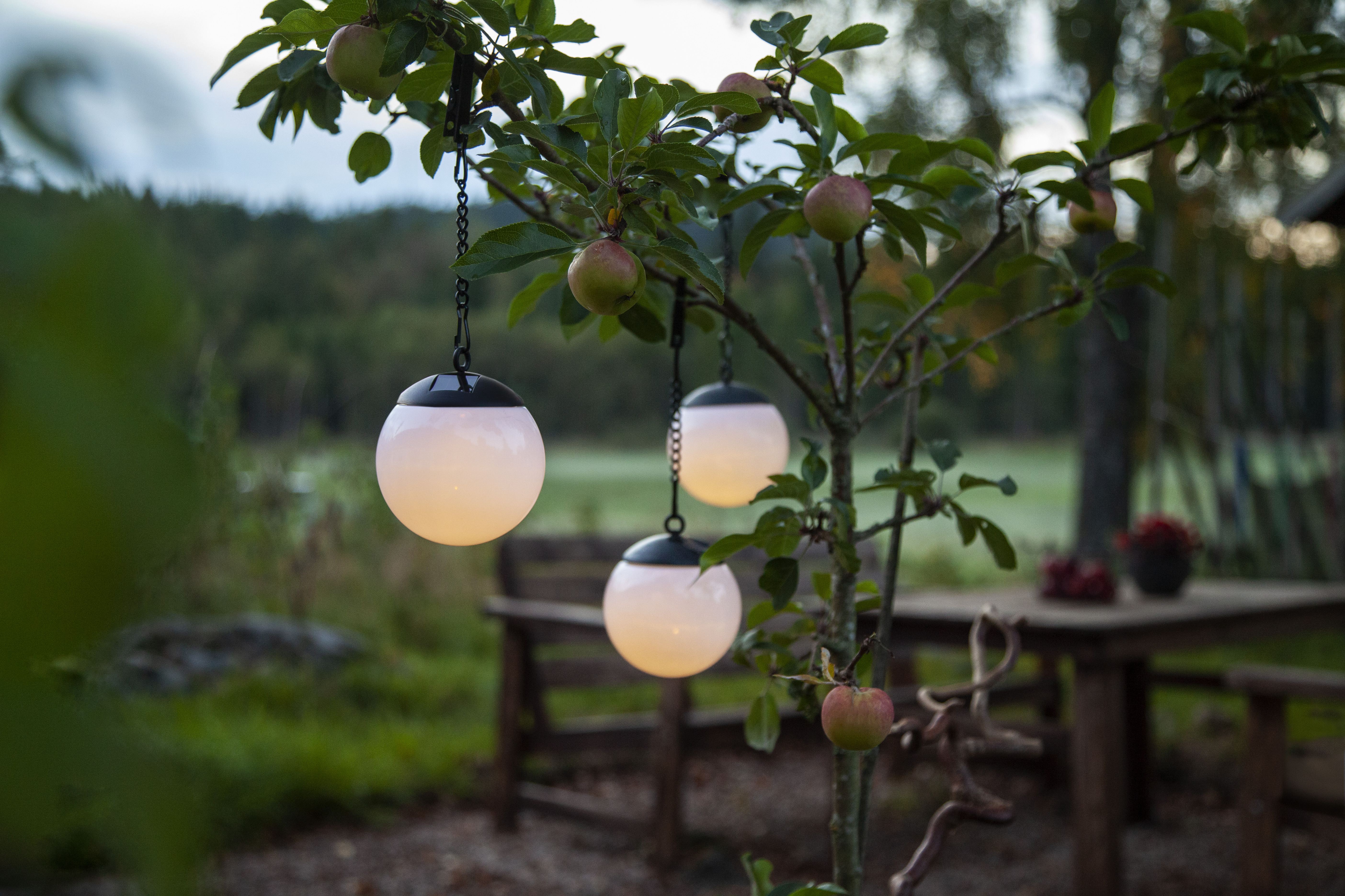 Solar cell decoration - Solar cell lighting - Lamp - 1 Globe