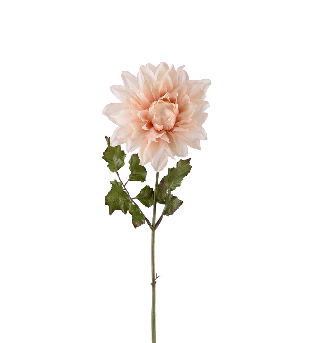 Dahlia Kvist 45 cm - Rosa - 4