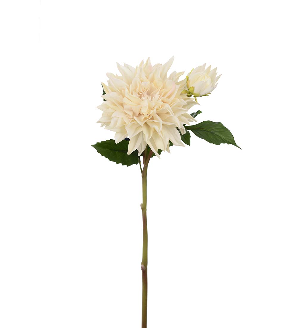Dahlia- Cream - Real touch - 70 cm - 2