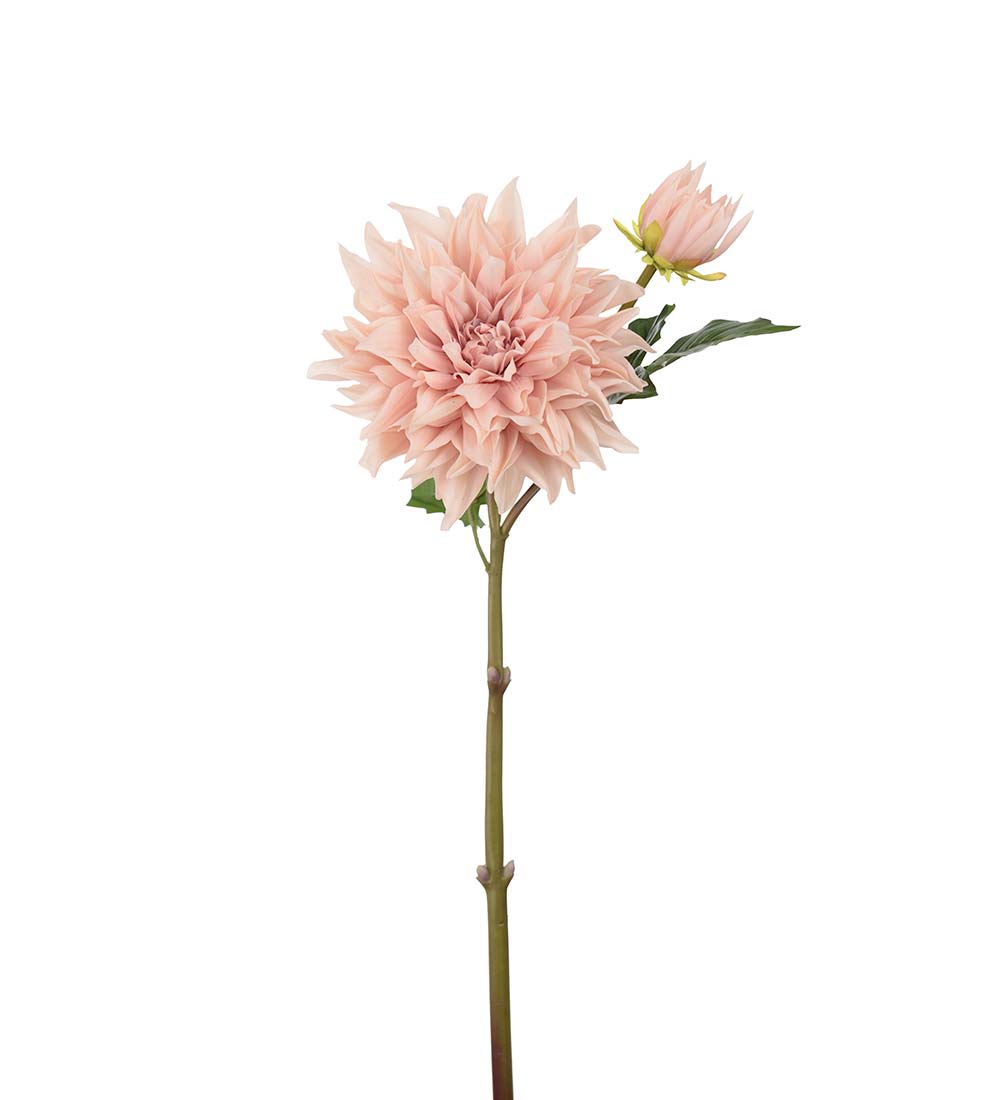 Dahlia - Peach - Real touch - 70 cm - 3