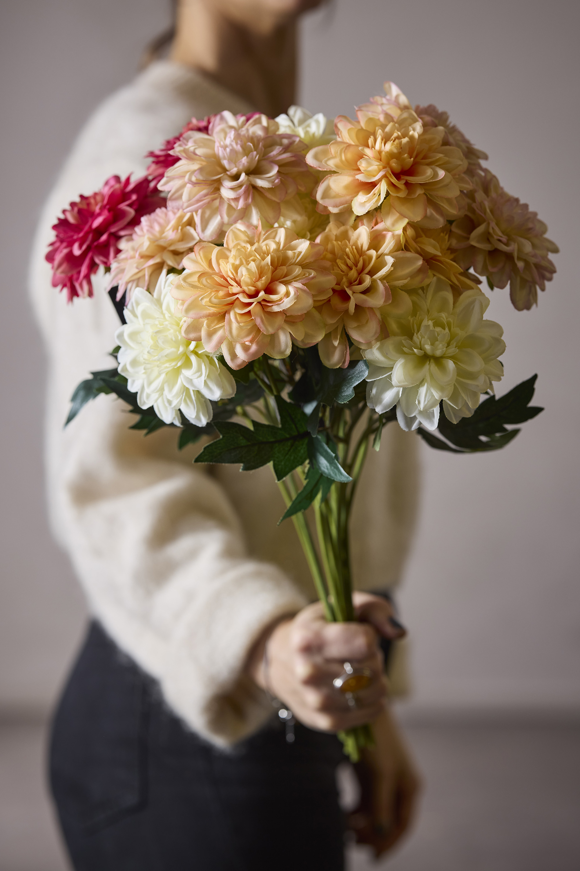 Zinnia - Cream - 45 cm - 2