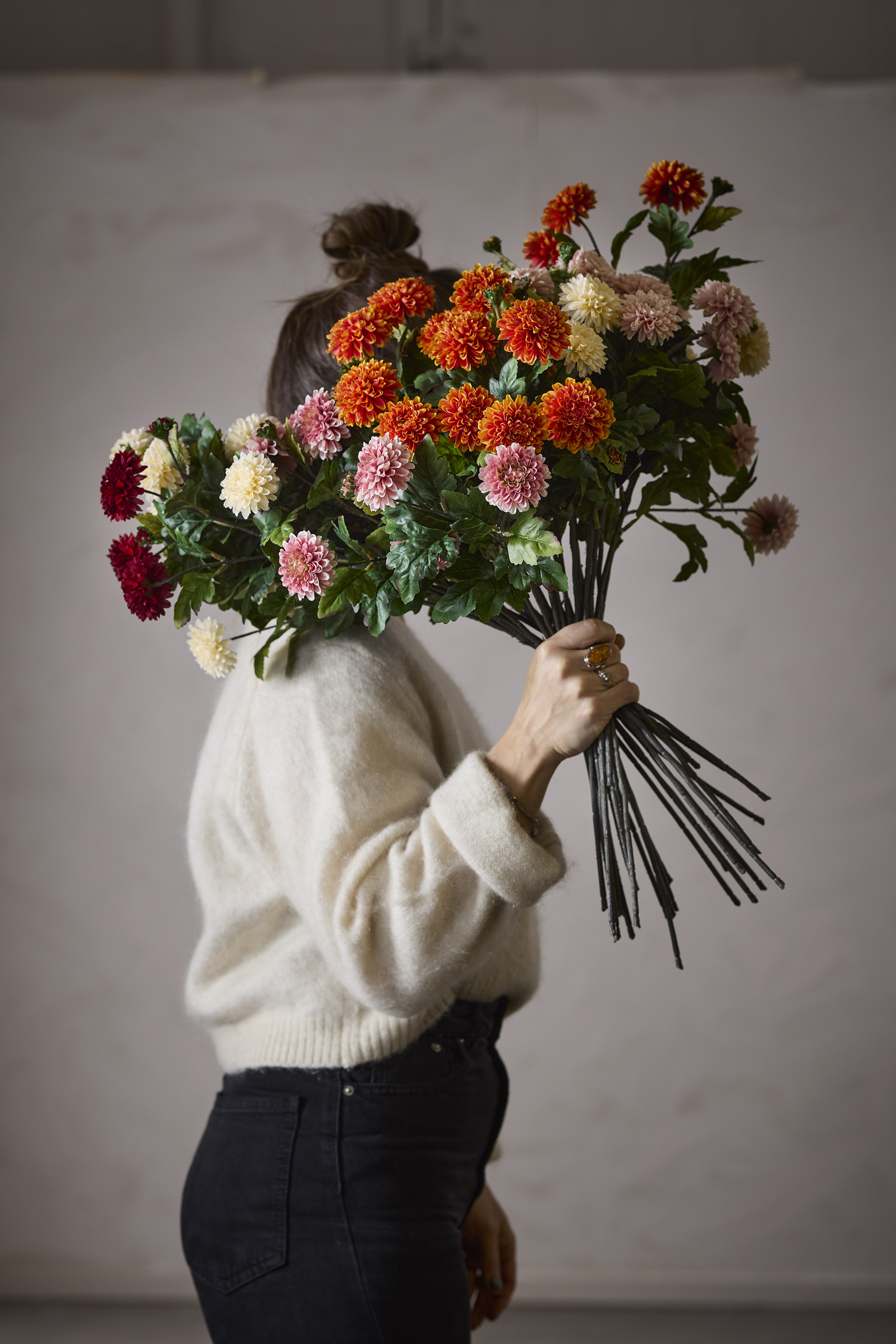 Zinnia - Apricot - 45 cm - 6