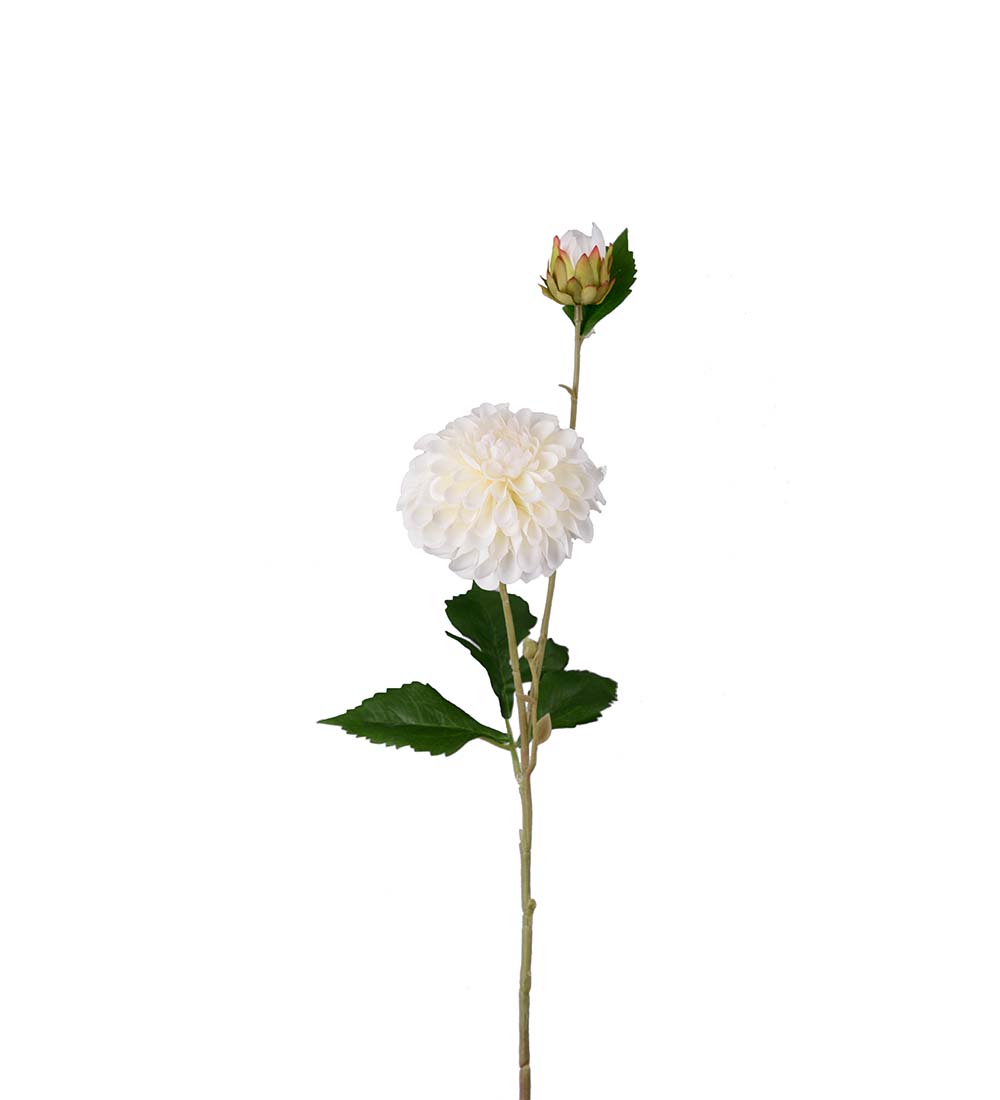 Dahlia Branch 66 cm - Cream - 4