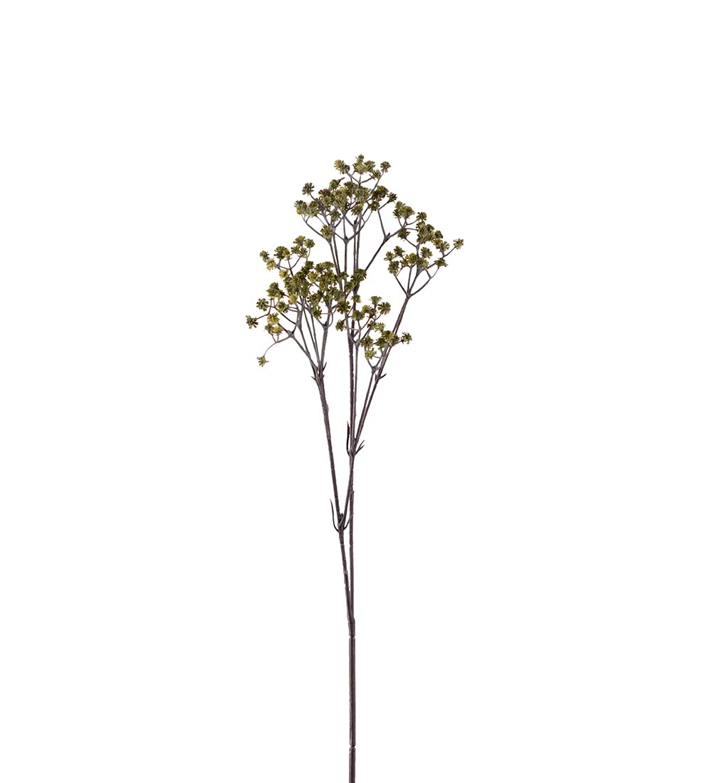 Brudslöja - Kvist - Stjälk - Grön - 75 cm - 3
