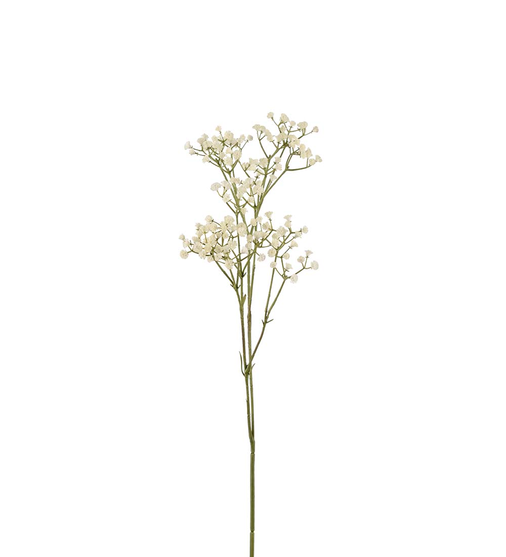 Baby's breath - Branch - Stem - White - 75 cm - 4