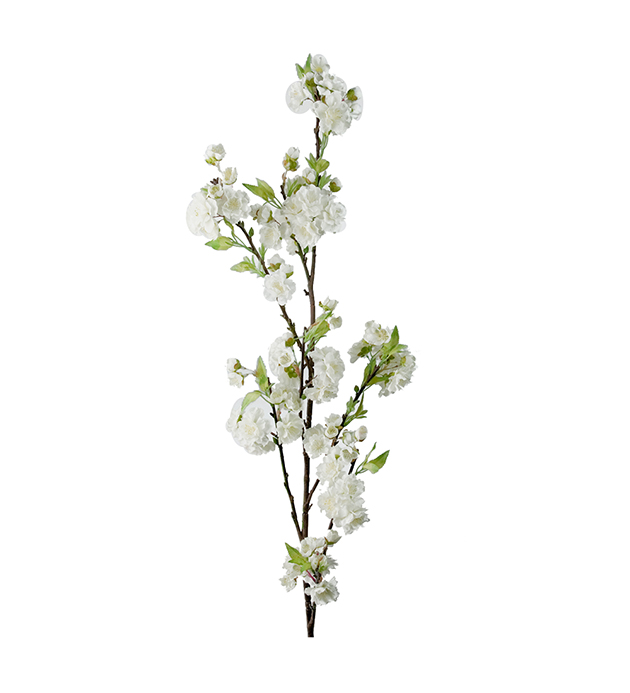 Cherry blossom - White - 120 cm - 3