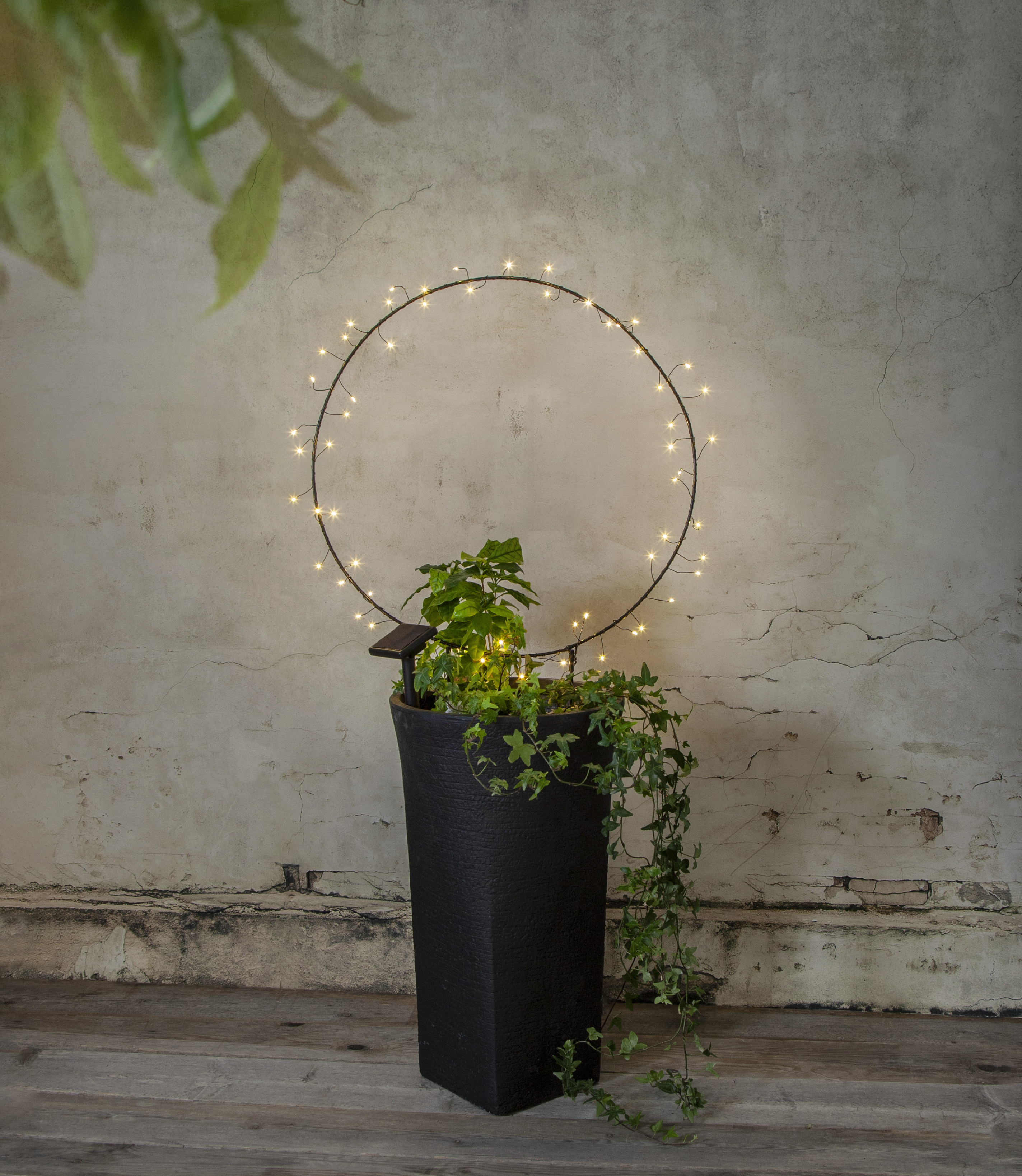 Solar-powered decoration Ring - LED - 100x60 cm - 3