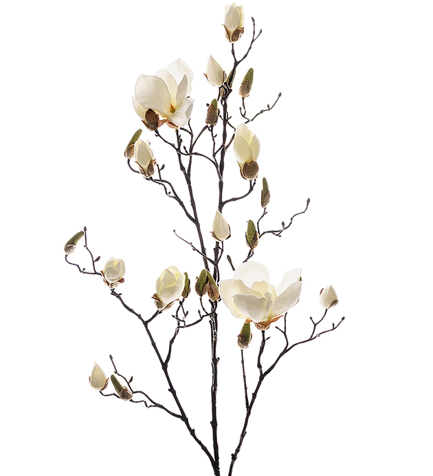 Magnolia - 110 cm - Vit