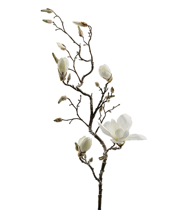 Magnolia - Kvist - Vit - 135 cm - 2