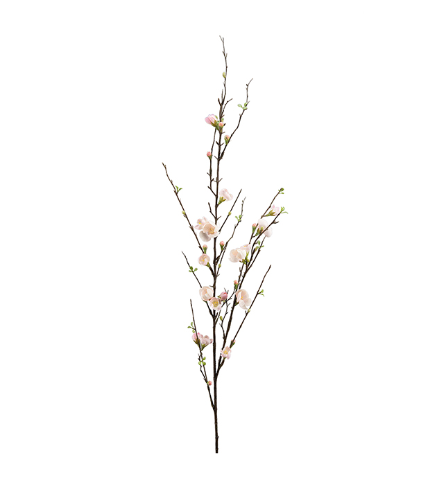 Äppelblom - Rosa - 120 cm - 2