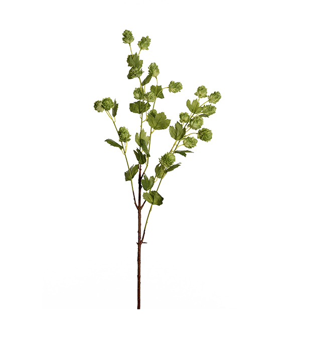Humle - 90 cm