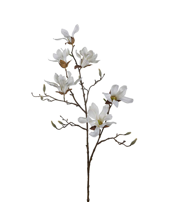 Magnolia - Kvist - Vit - 100 cm - 2