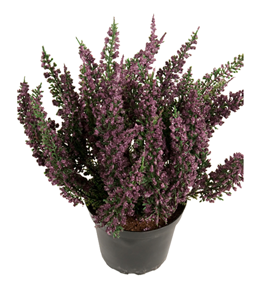 Ljung - Konstväxt- Lila - 28 cm - 3