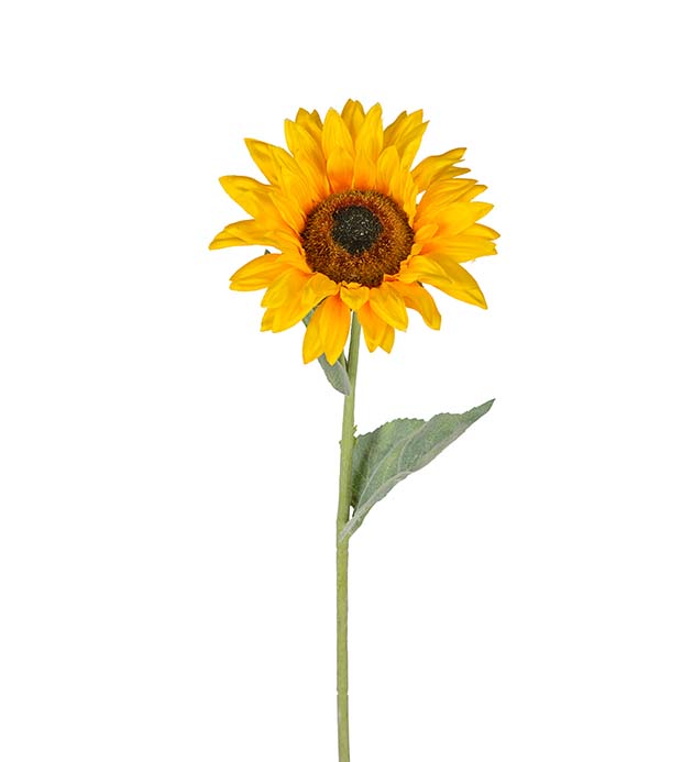 Sunflower - Yellow - 70 cm - 4