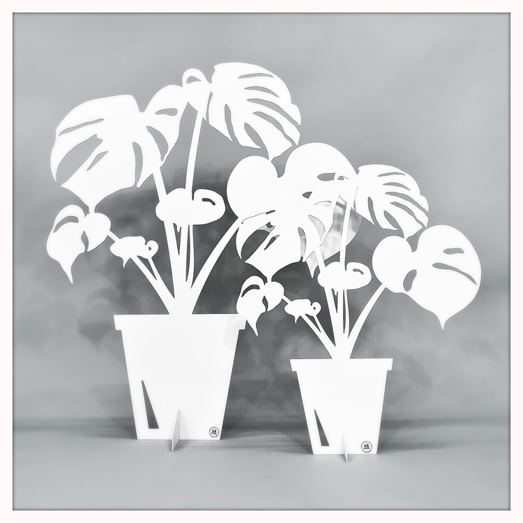 Monstera i kruka - Blomma - Vit - Plåt  - 3
